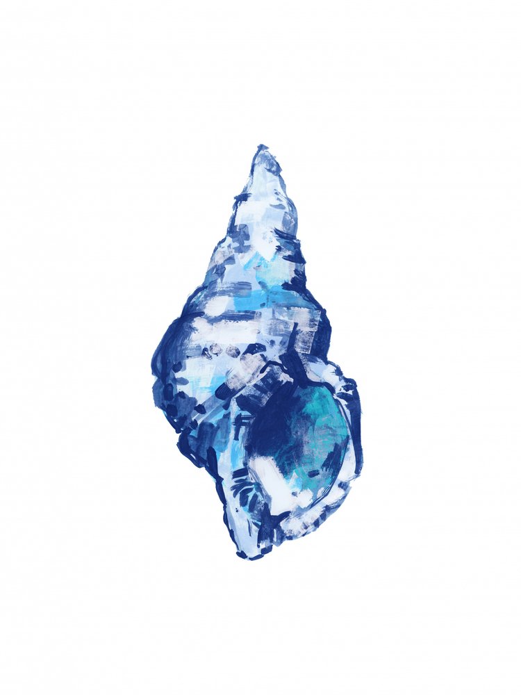 Coquillage bleu abstrait - cartissi