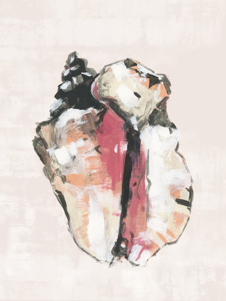 Coquillage abstrait - cartissi