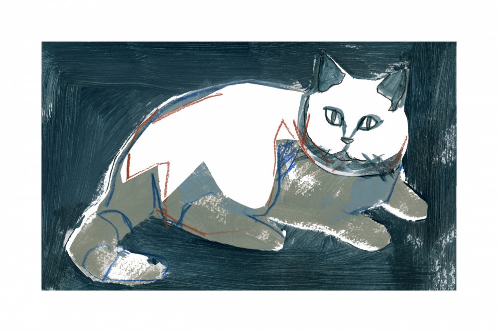 Chat blanc artistique - cartissi