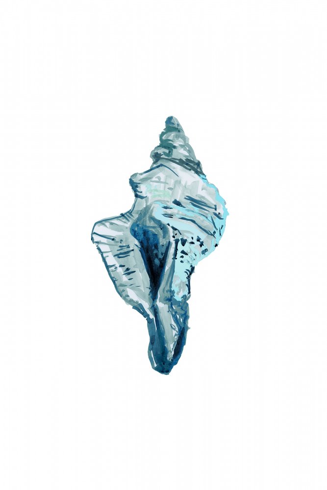 Coquillage bleu - cartissi