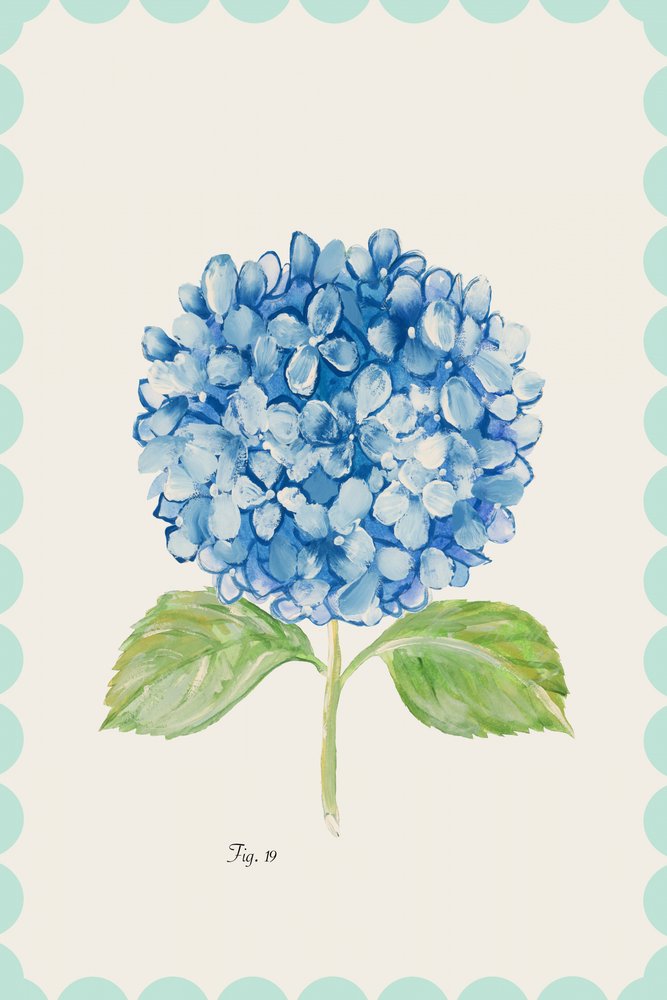 Illustration d