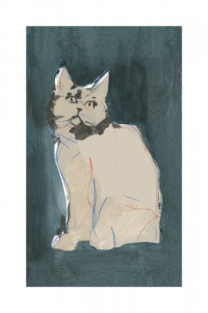 Le regard curieux du chat - cartissi