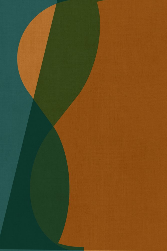 Formes courbes colorées - cartissi