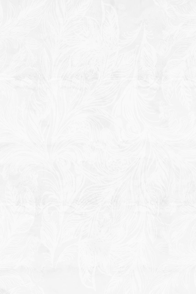 Motifs de givre délicats - cartissi