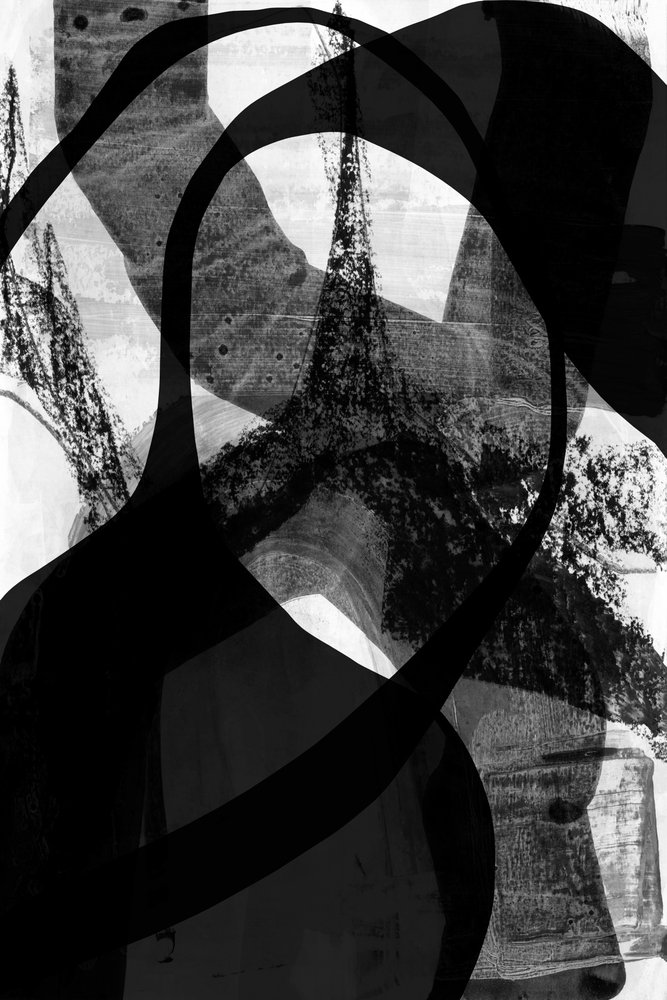 Courbes noires dynamiques - cartissi