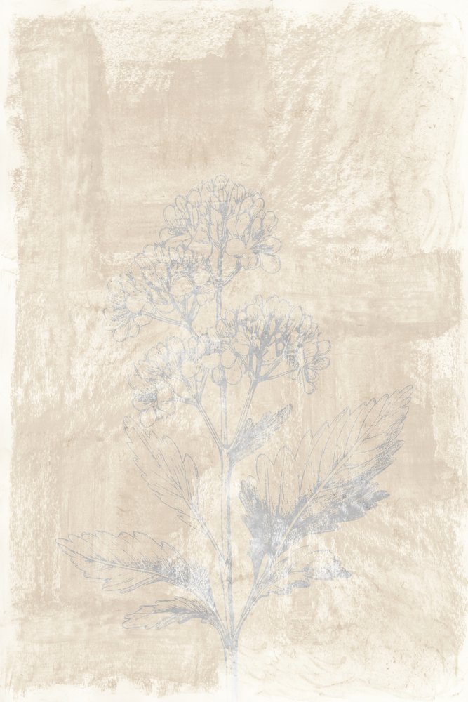 Esquisse botanique délavée - cartissi