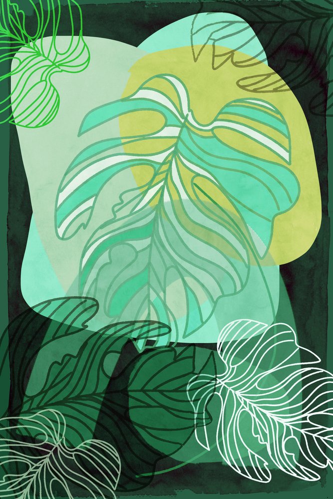 Monstera bio - cartissi