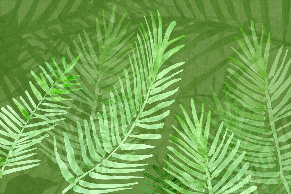Feuilles de palmier tropicales luxuriantes - cartissi
