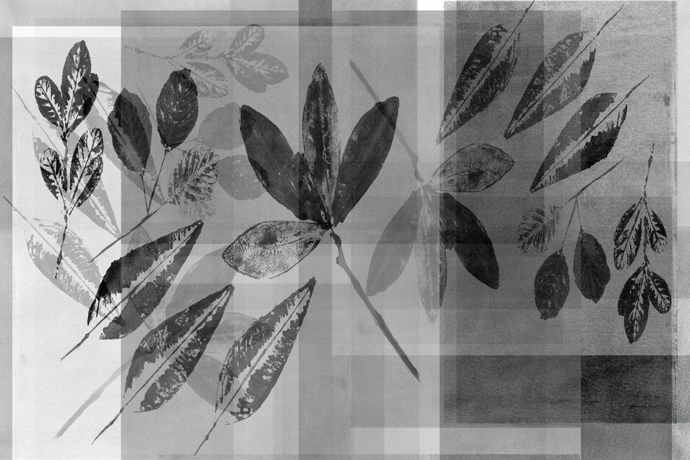Superpositions botaniques monochromes - cartissi