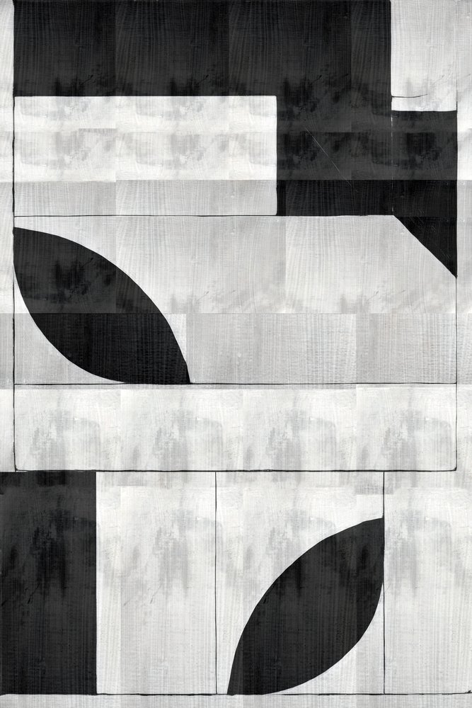 Formes organiques monochromes - cartissi