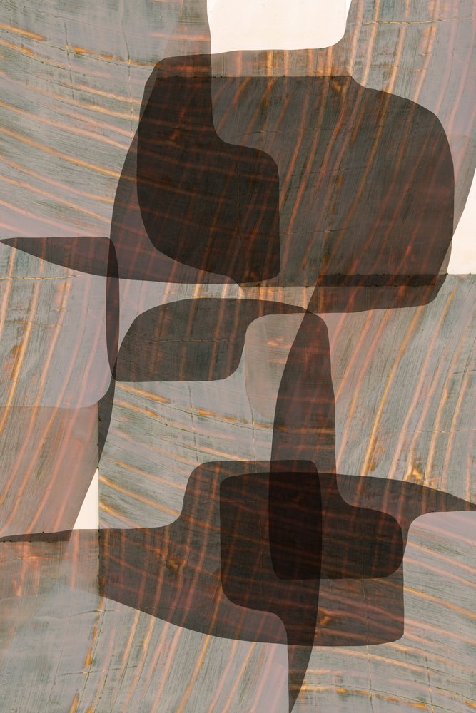 Formes organiques discrètes - cartissi