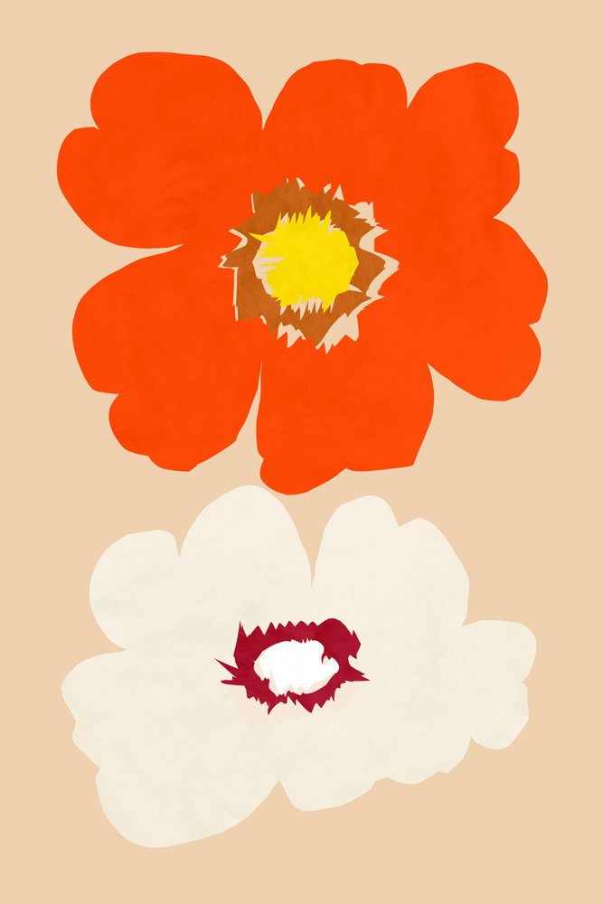 Fleurs orange et blanches - cartissi