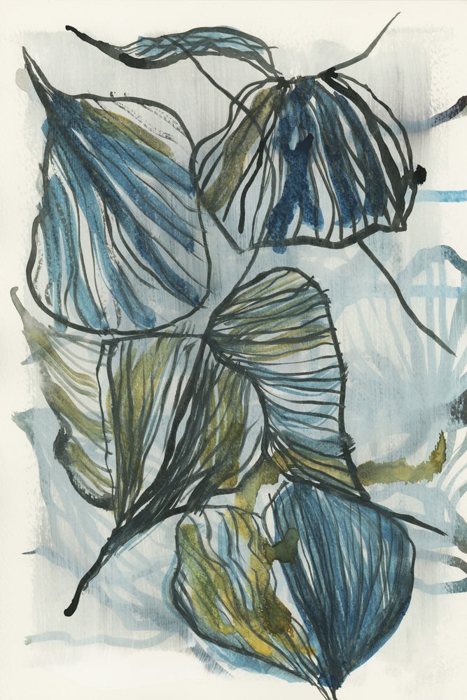 Feuilles bleues bio - cartissi