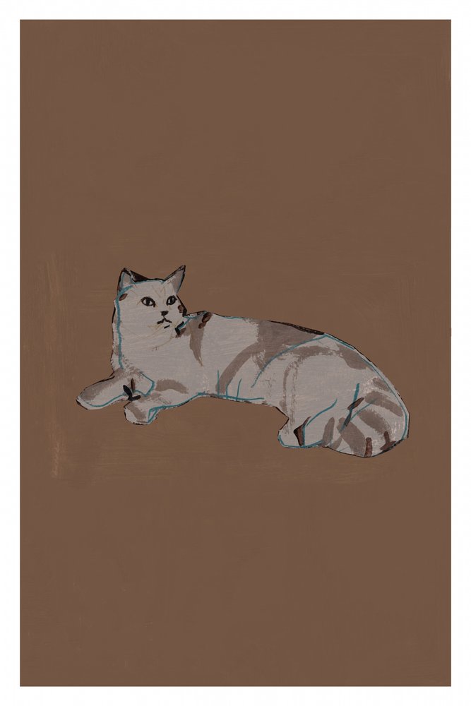 Chat gris détendu - cartissi