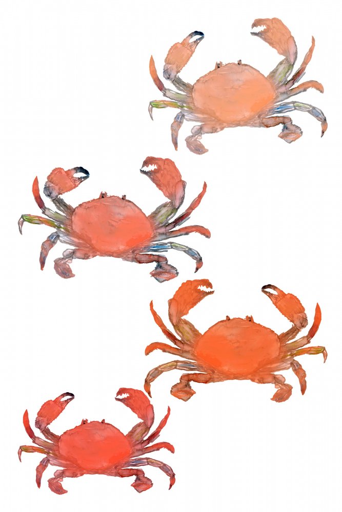 Fruits de mer, crabes, aquarelle - cartissi