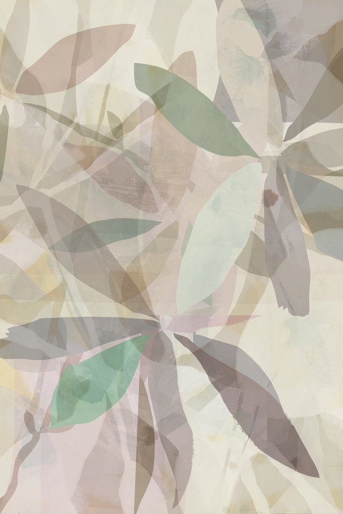 Feuilles abstraites aux contours doux - cartissi