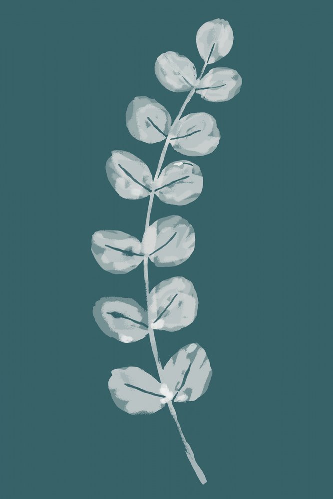 Feuilles d