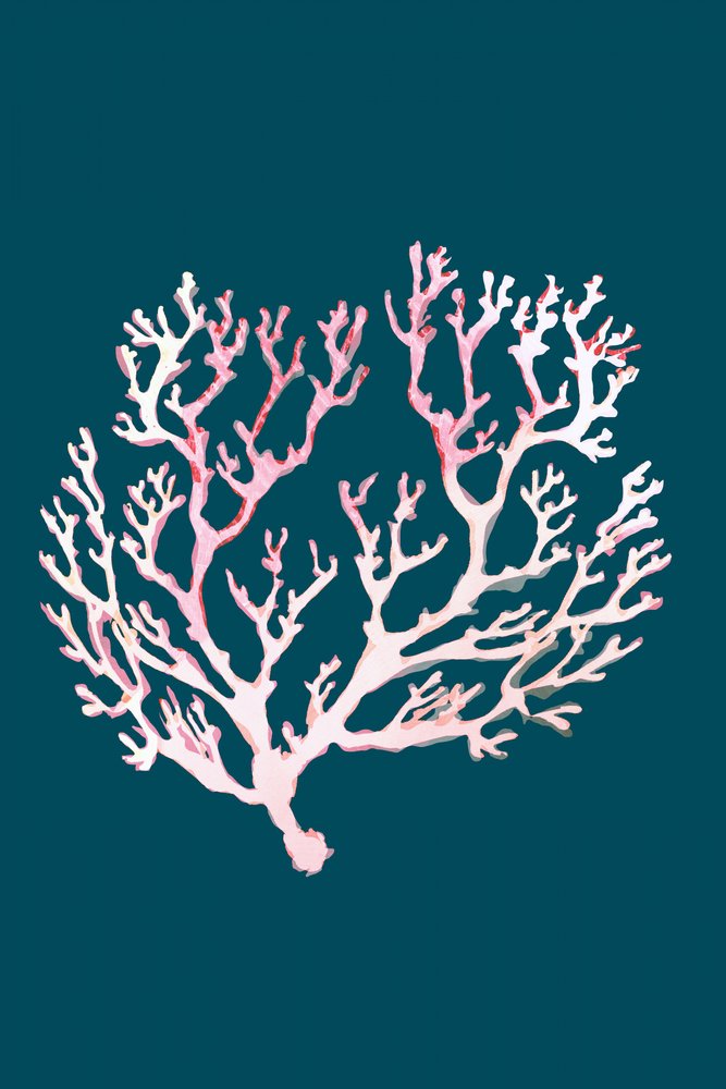Corail rose pâle - cartissi
