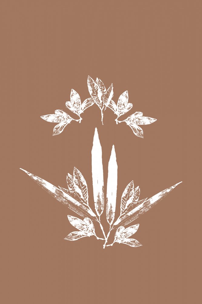 Feuilles botaniques stylisées - cartissi