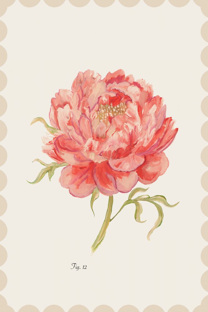 Pivoine rose vintage - cartissi