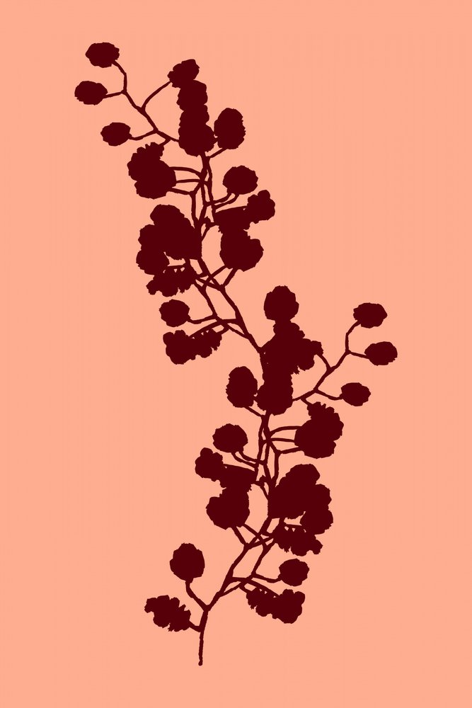 Une silhouette botanique chaleureuse - cartissi