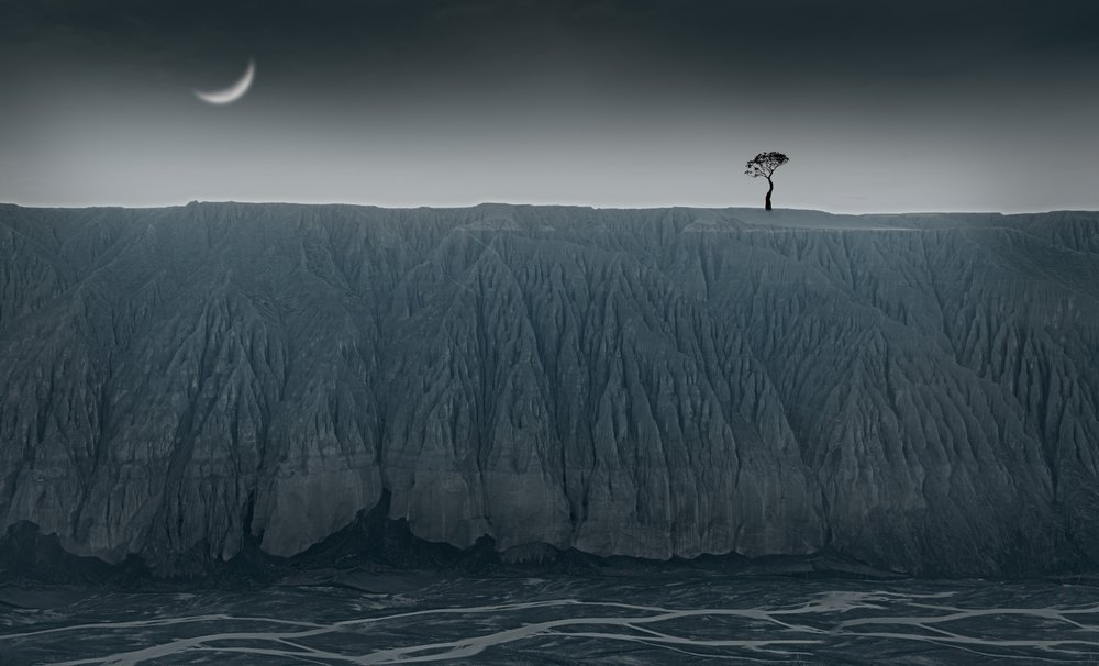 Arbre solitaire, croissant de lune - chenyi wang