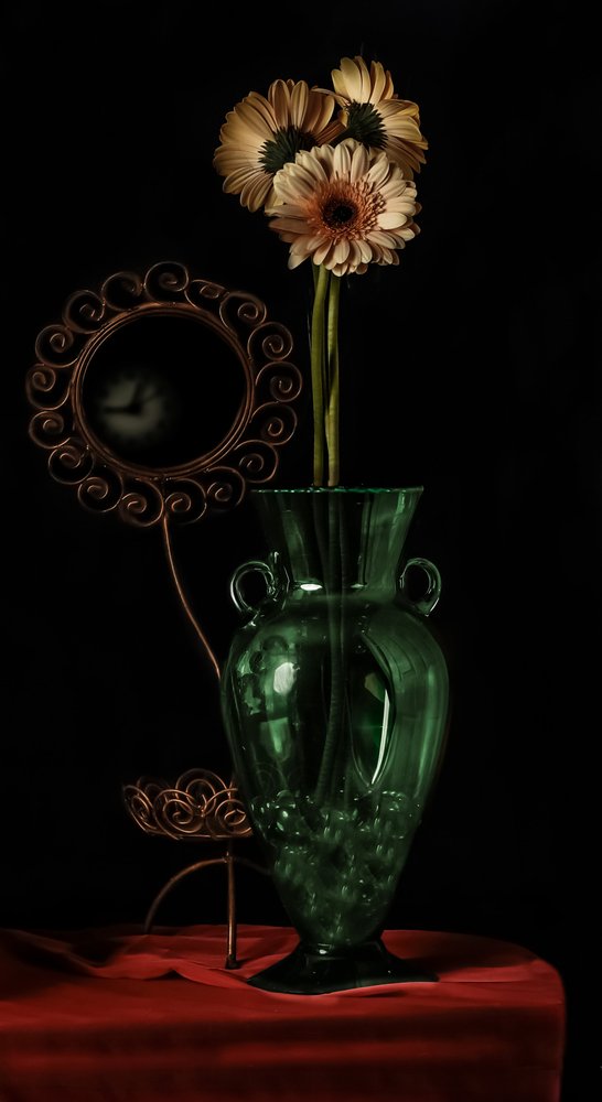 Nature morte aux gerberas - jlloydphoto