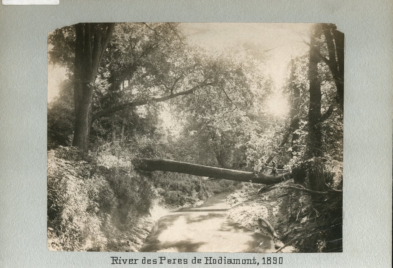 Deux enfants marchant sur un arbre tombé traversant une petite rivière dans les bois - Unknown