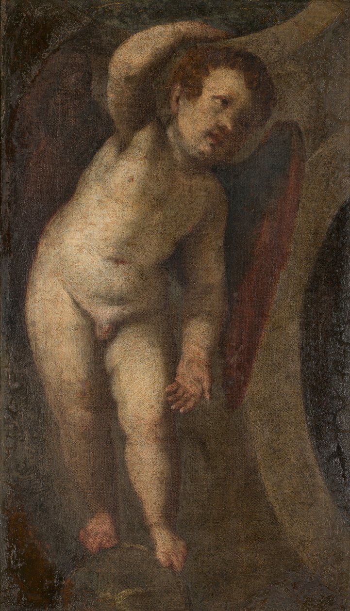 Un putto debout - Veronese