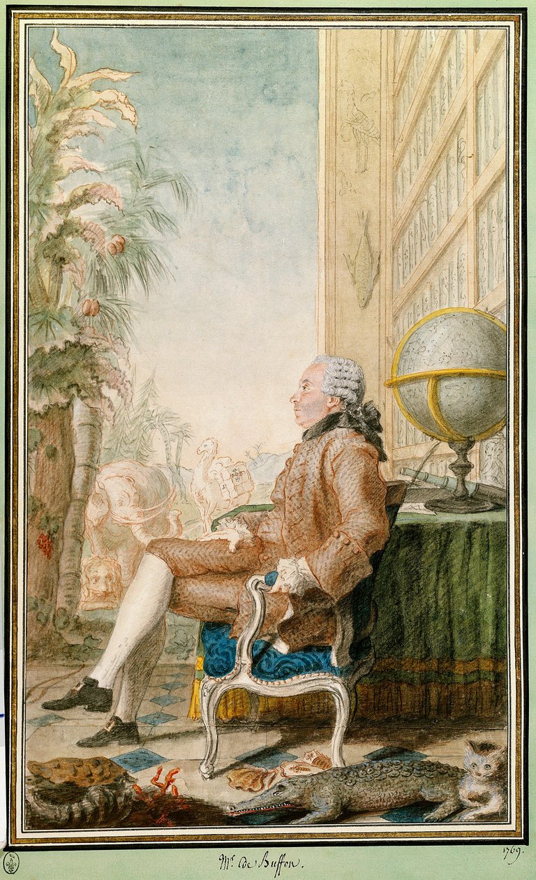 Portrait de Georges-Louis Leclerc, Comte de Buffon - Carmontelle