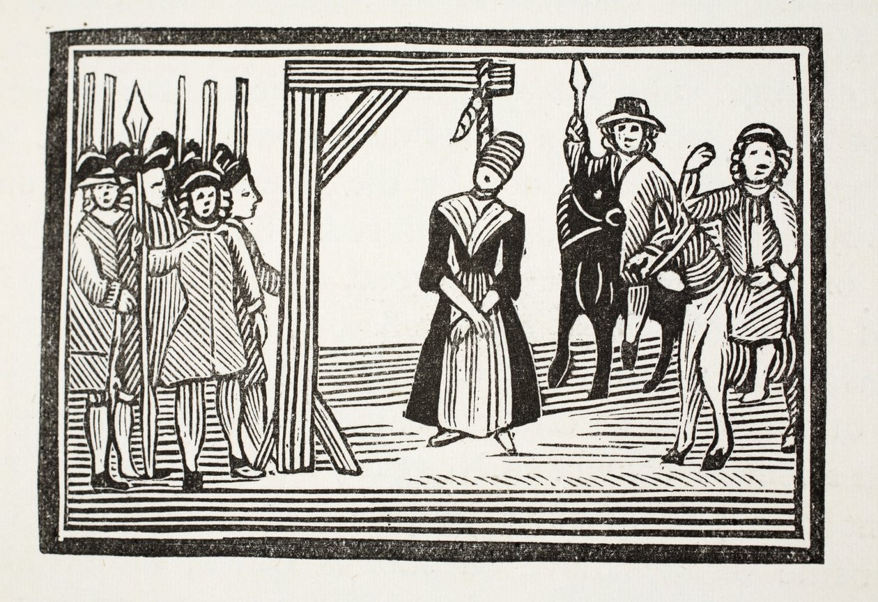 La Vie entière et les aventures de Miss Davis, communément appelée La Beauté déguisée, illustration de 