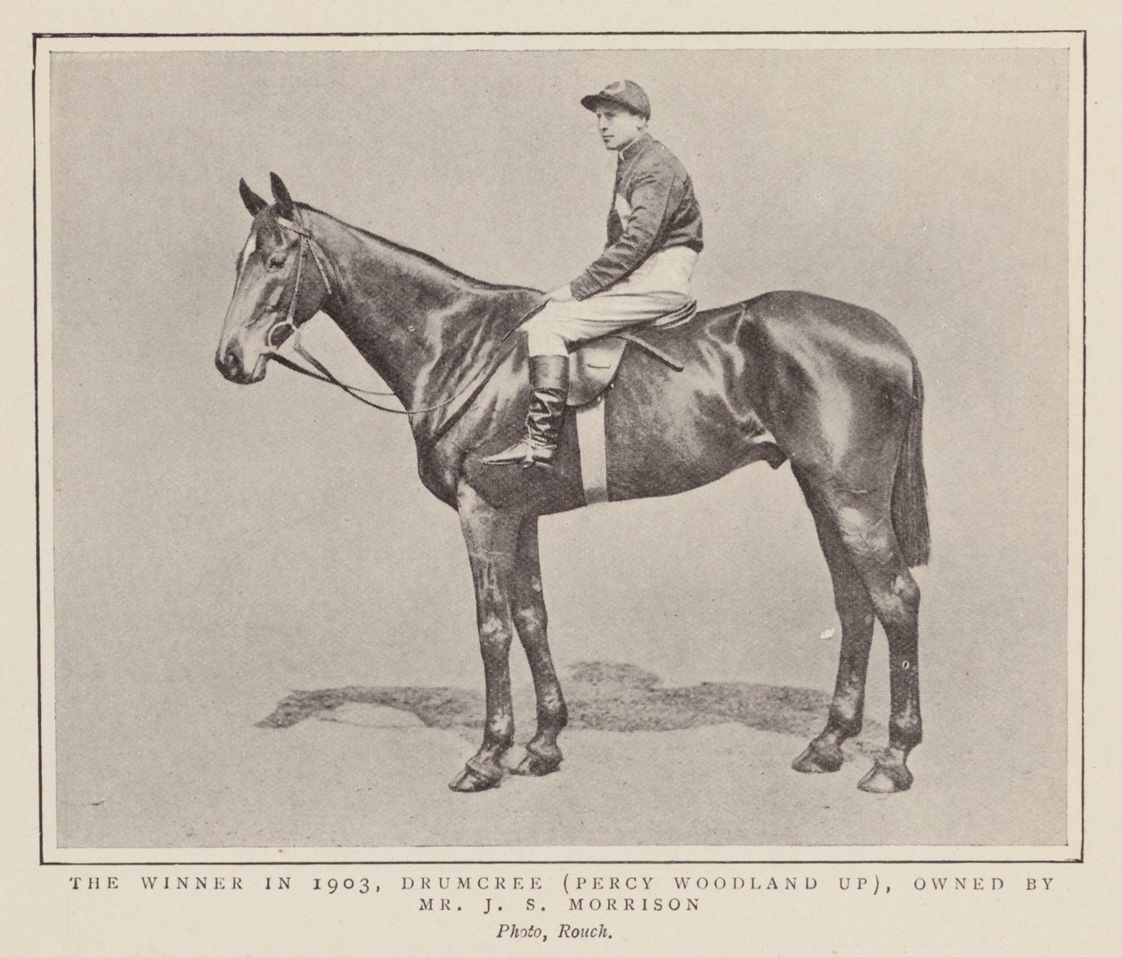 Drumcree, vainqueur du Grand National de 1903 - (after) English photographer