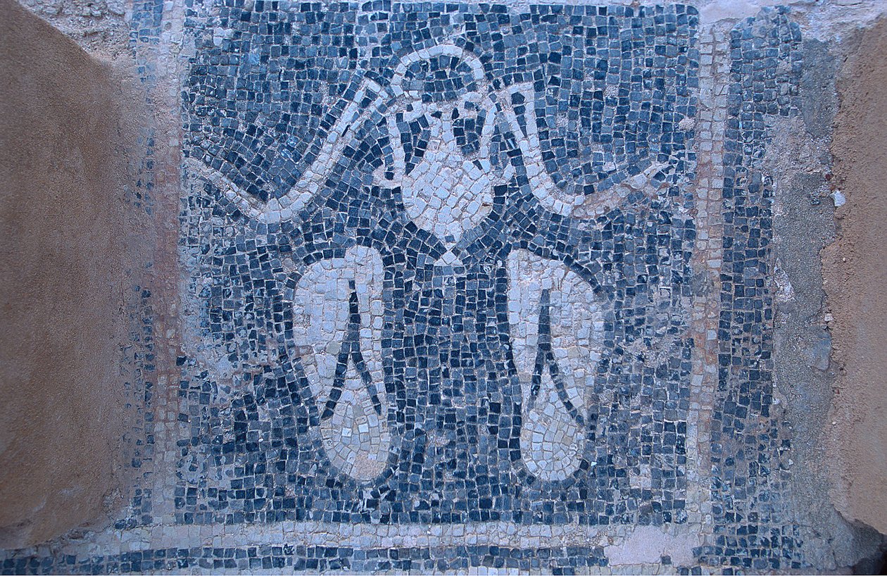 Mosaïque des thermes - Unknown