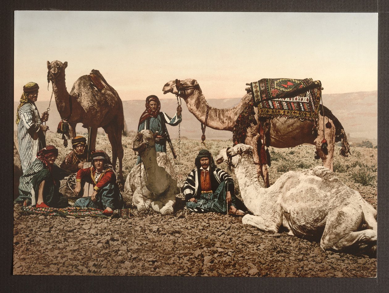 Caravane de chameaux dans le désert au repos, pub. 1895 - American Photographer