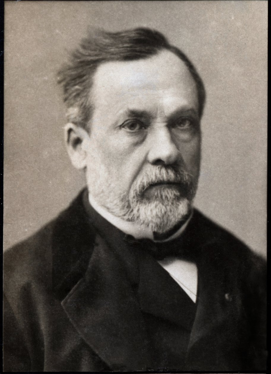 Portrait de Louis Pasteur (1822-1895), chimiste et microbiologiste français - French Photographer