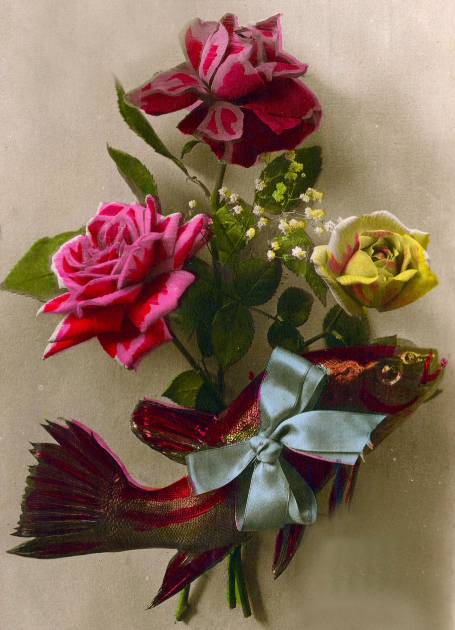 Roses et un poisson emballé en cadeau - French School