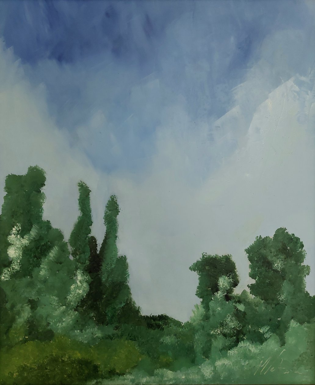 Nuages sur la forêt - M. Vet