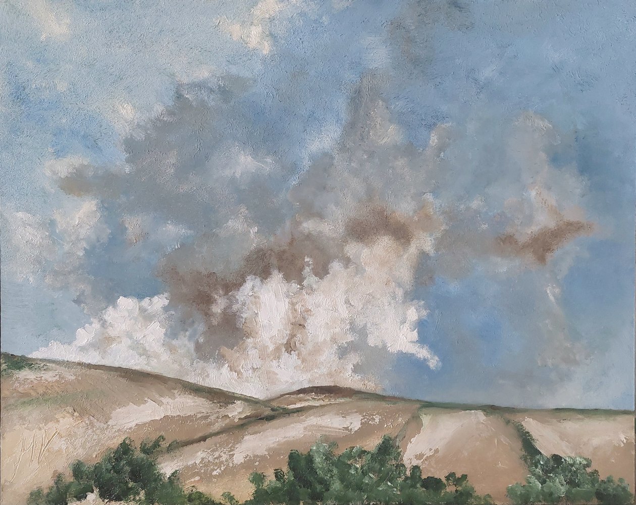 Nuages bruns - M. Vet