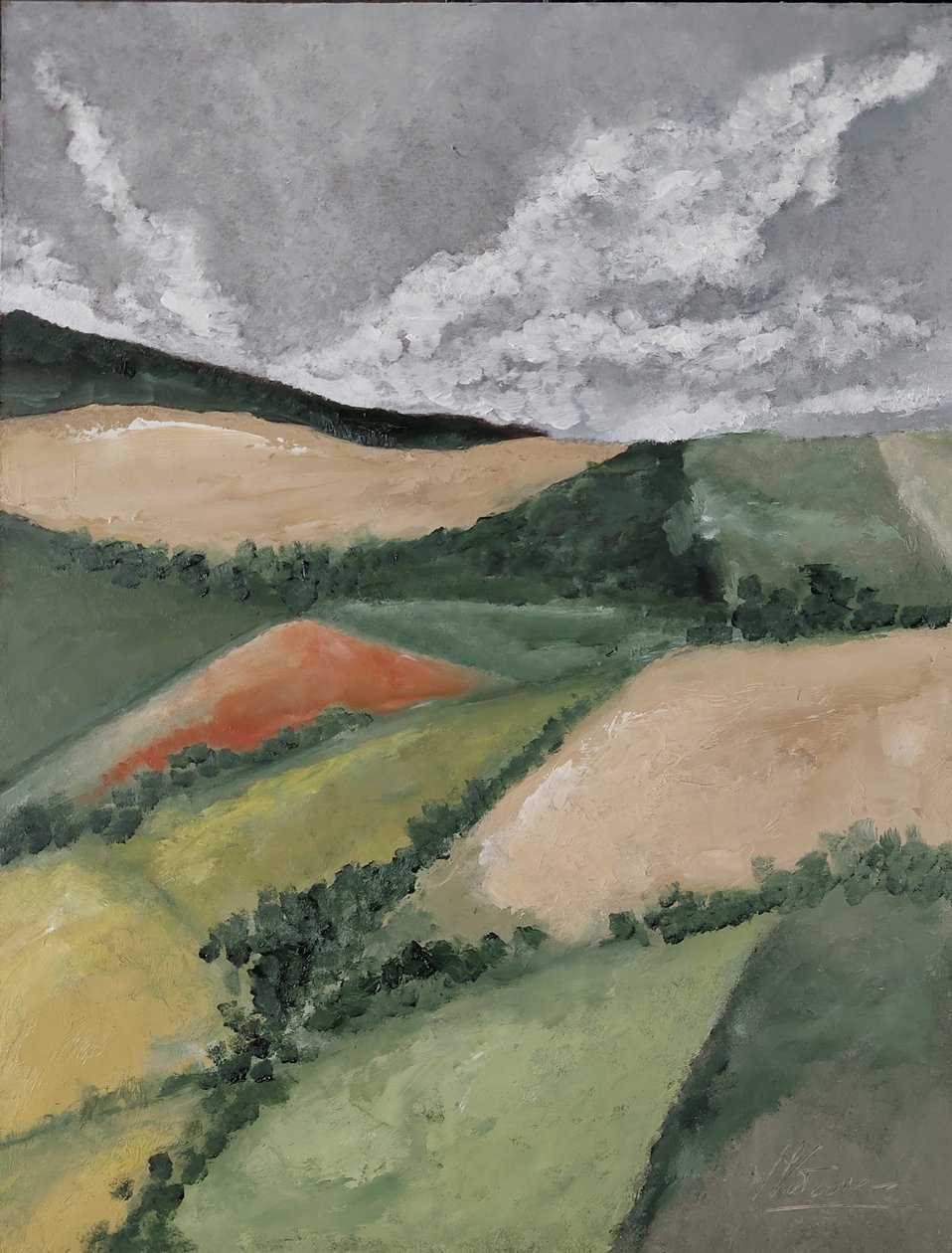 Haies entre les champs - M. Vet