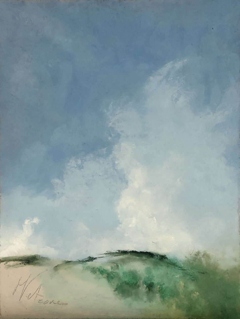 Zone marécageuse - M. Vet