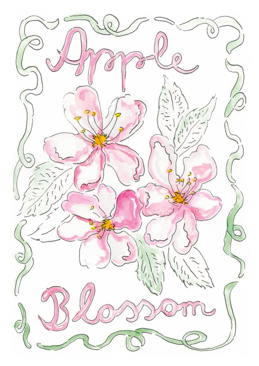 Fleur de pommier - june art