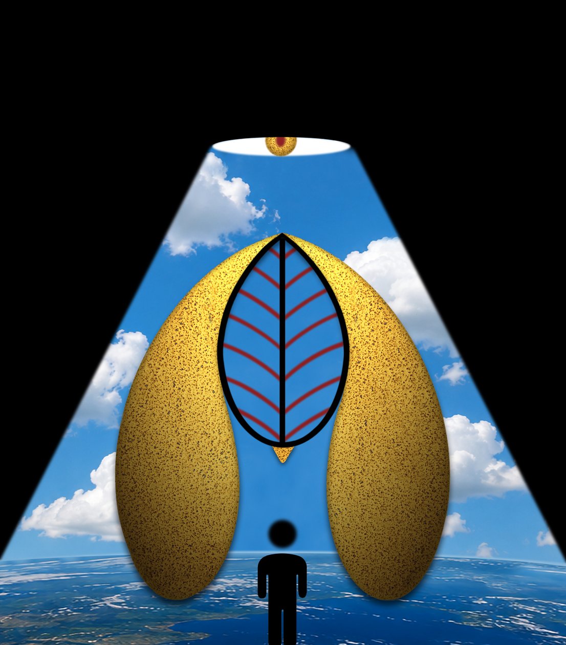 La merveille bleue (de la série Clairière) - Alexander Eibach