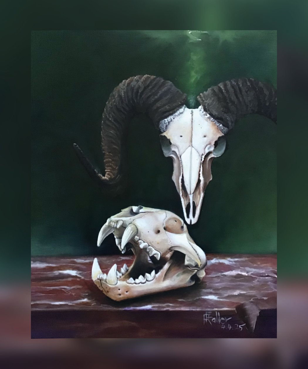 Memento mori (Étude de crânes d