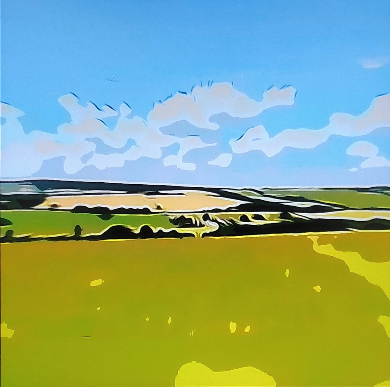 Paysage numérique 17 - M. Vet