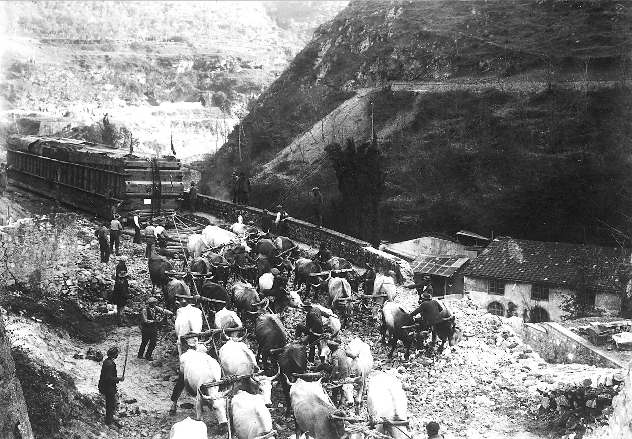 De nombreux bœufs transportent un énorme convoi contenant du marbre, juste descendu dans la vallée depuis une carrière des Alpes Apuanes (photo n/b) - A. Corsini