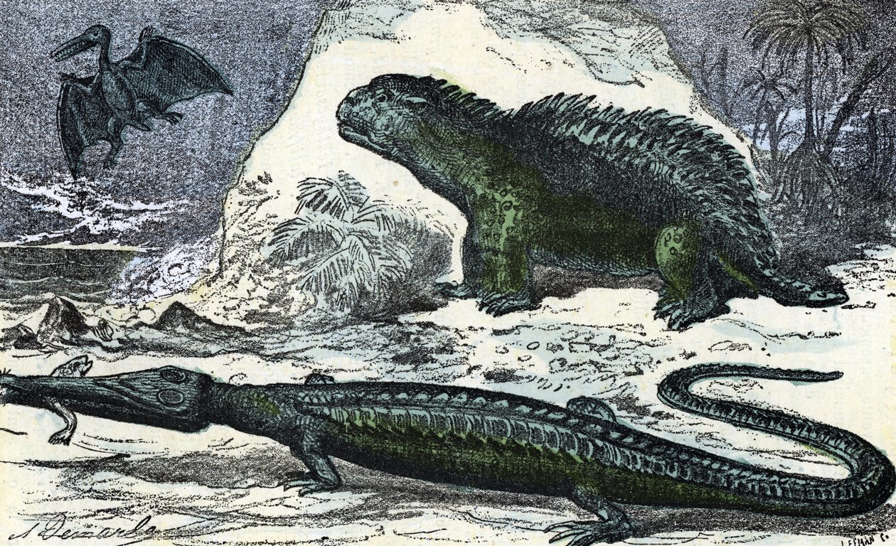 Préhistoire: représentation d
