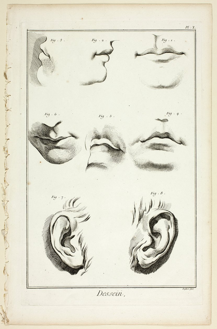 Design : Anatomie faciale de l