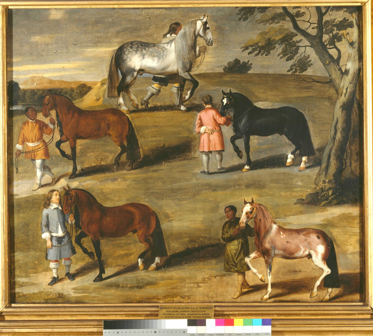 Chevaux de William Cavendish, duc de Newcastle, vers 1650 - A Sijmons