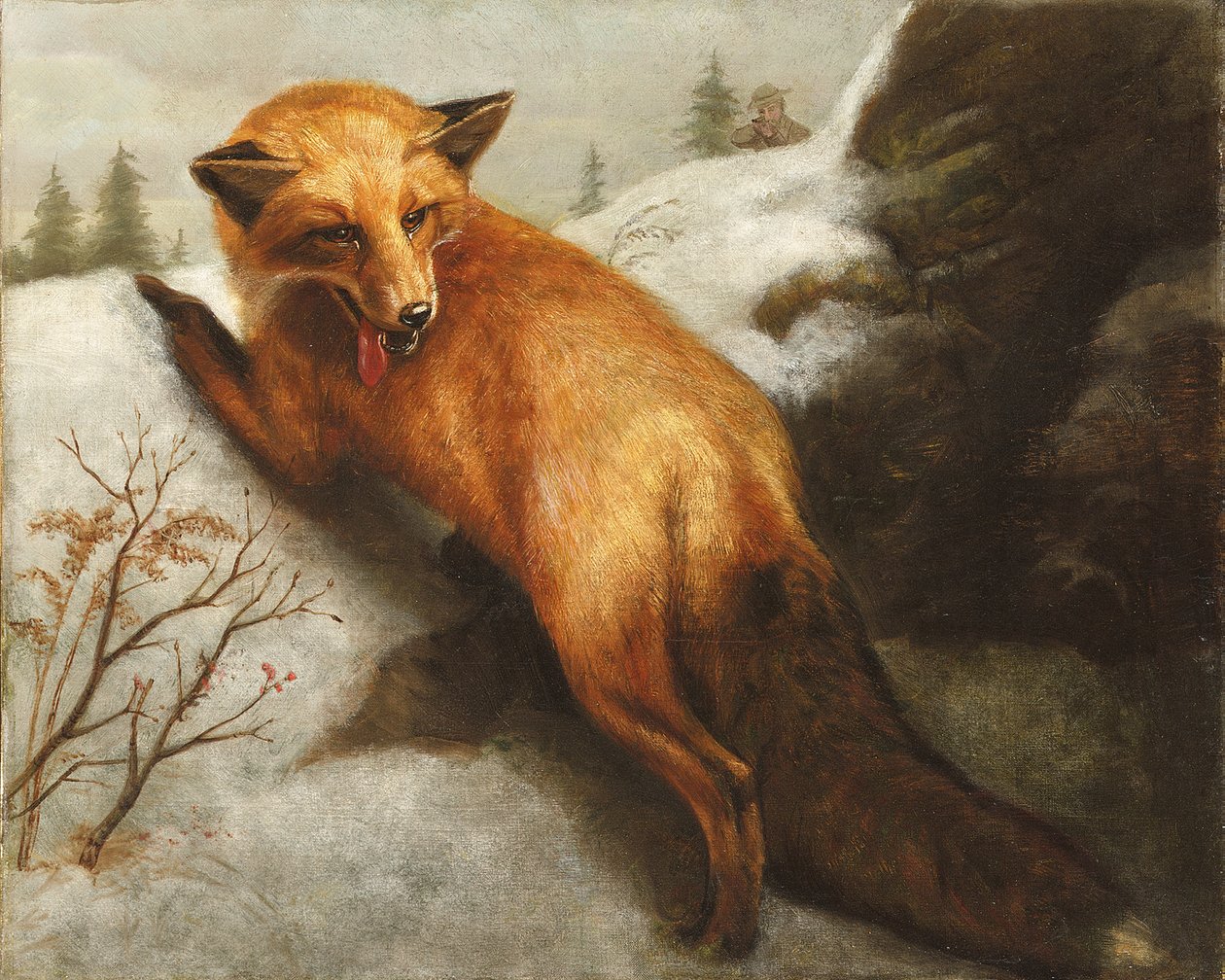 Le Renard Rouge, 1870 - Abbott Handerson Thayer