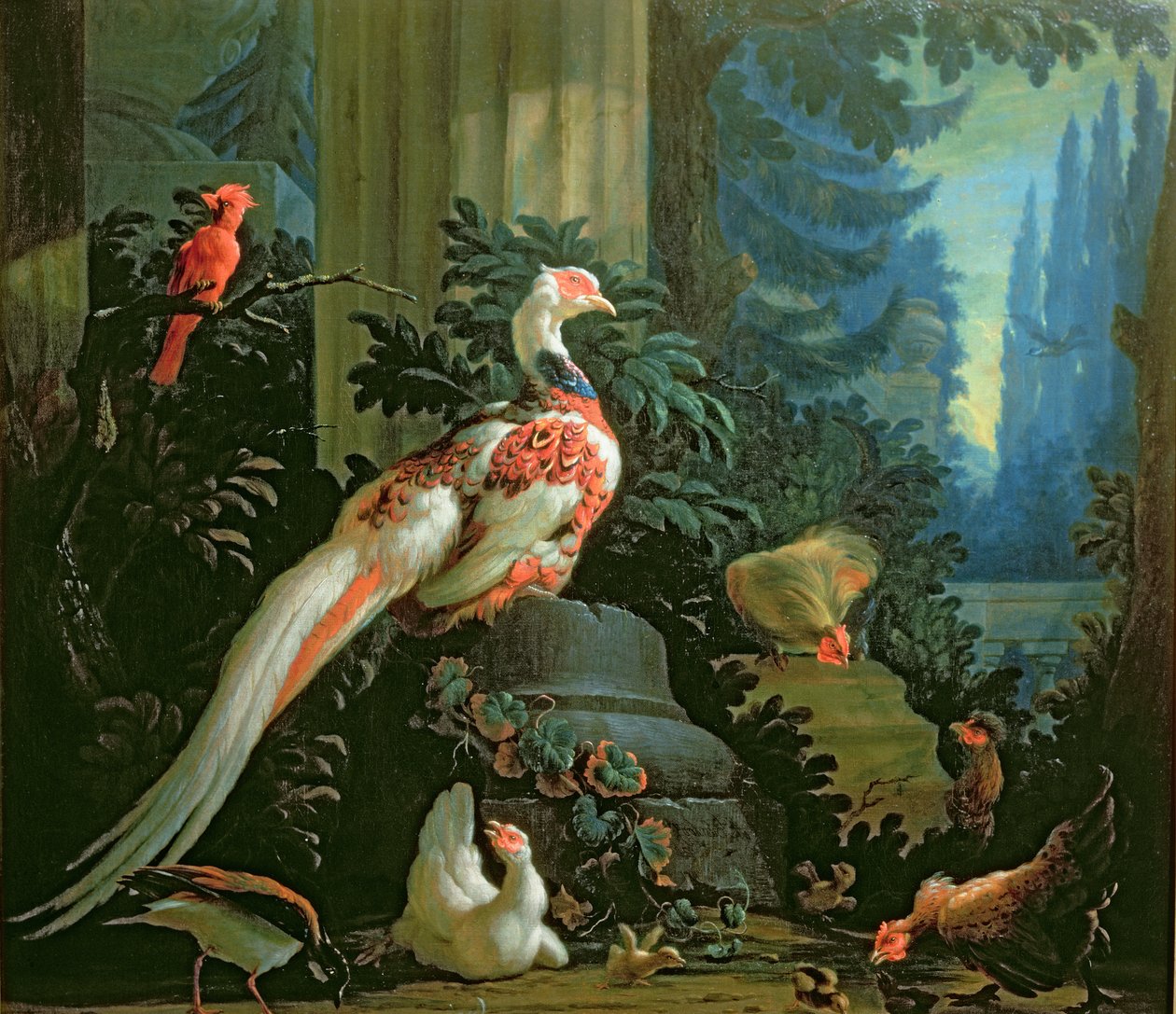 Un faisan blanc, un cardinal rouge et des volailles dans un paysage - Abraham Bisschop